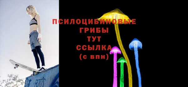 спиды Гусь-Хрустальный